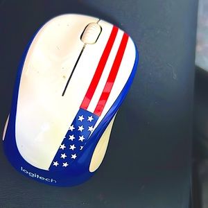 This is my beautiful fast hard working mice